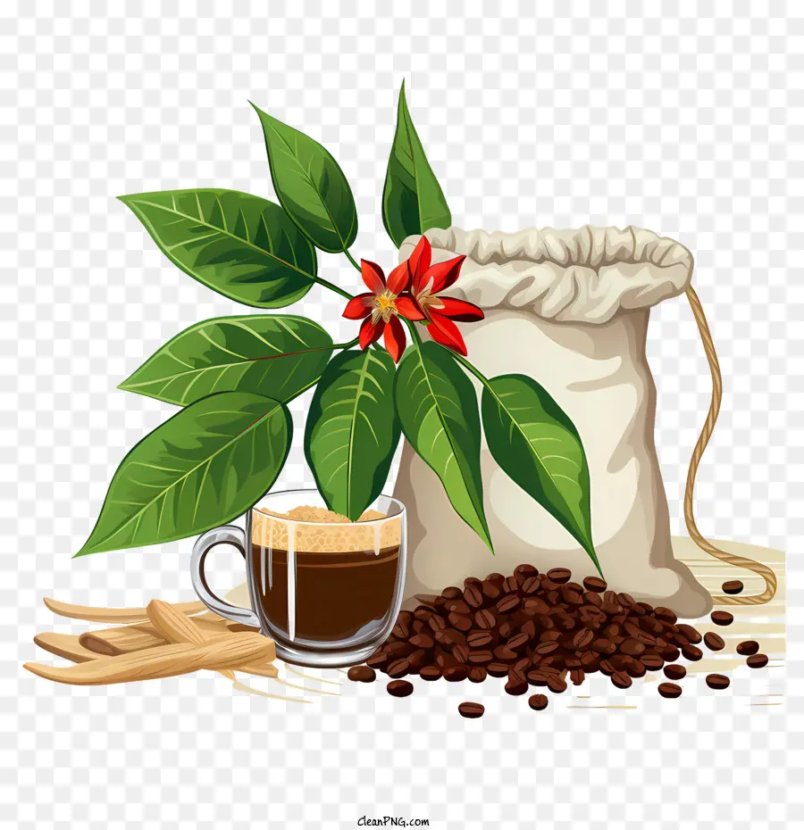 Grãos De Café，Planta De Café PNG