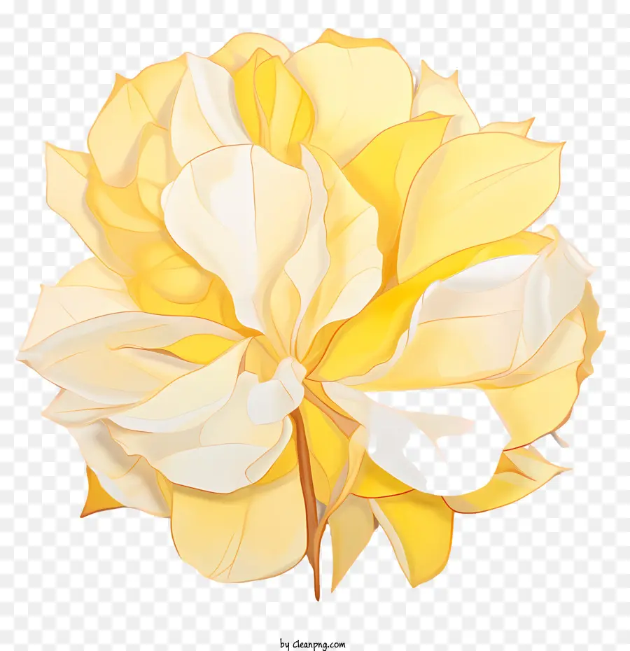 Pétalas De Rosa Amarelas，Flores Amarelas PNG