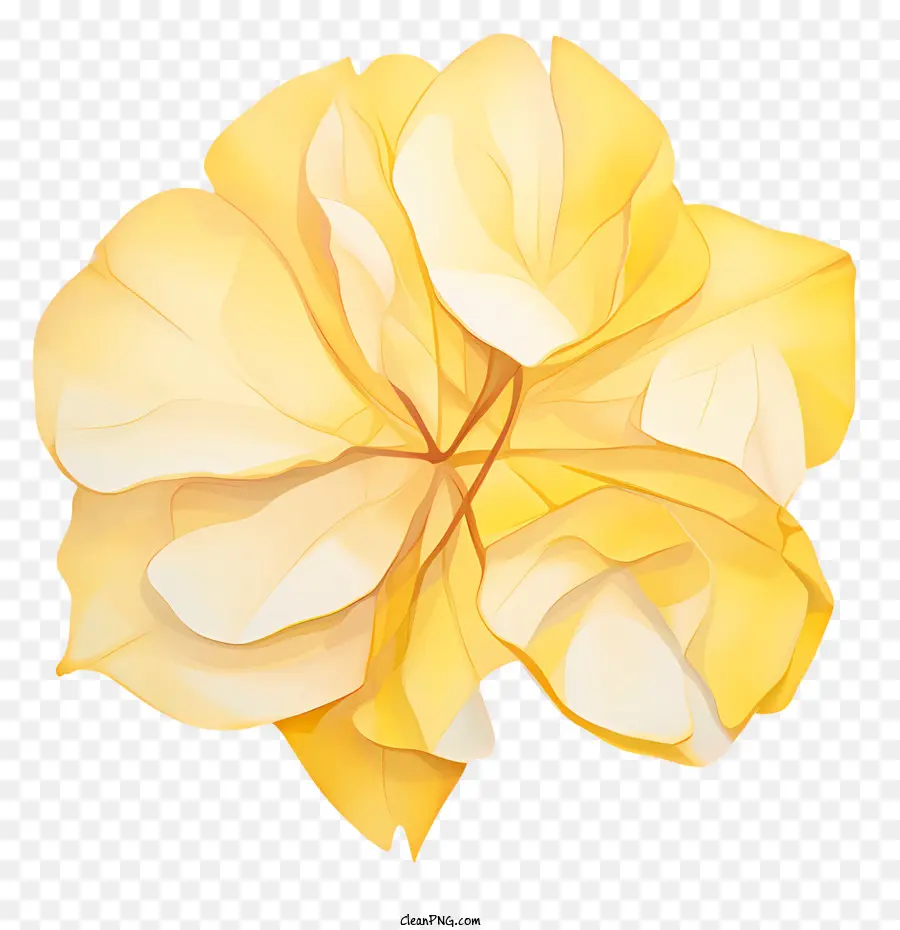 Pétalas De Rosa Amarelas，Amarelo PNG