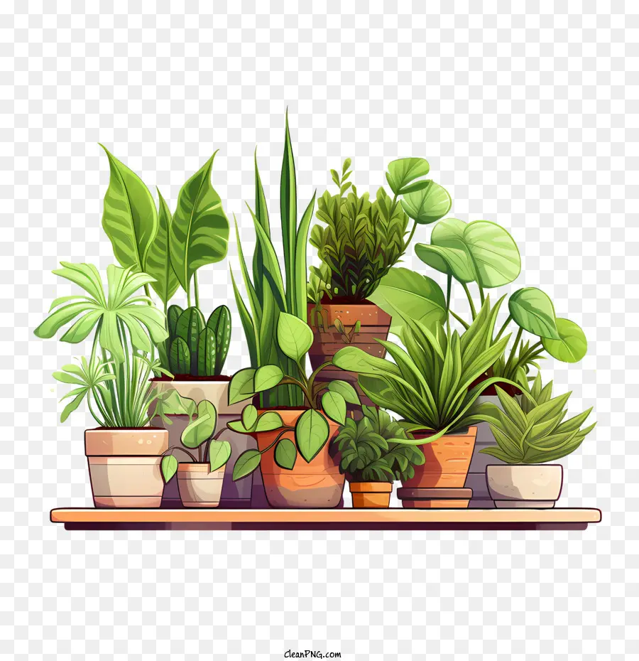 Dia De Valorização Das Plantas De Casa，Plantas PNG