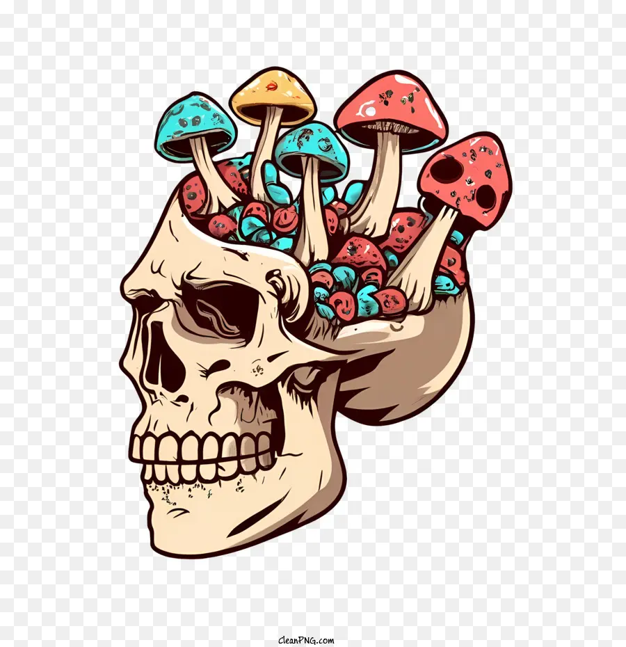 Cogumelos Do Crânio，Crânio PNG