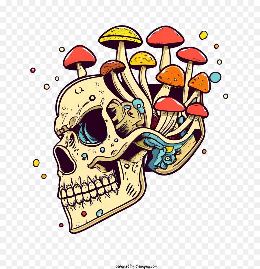 Cogumelos Do Crânio，Crânio PNG
