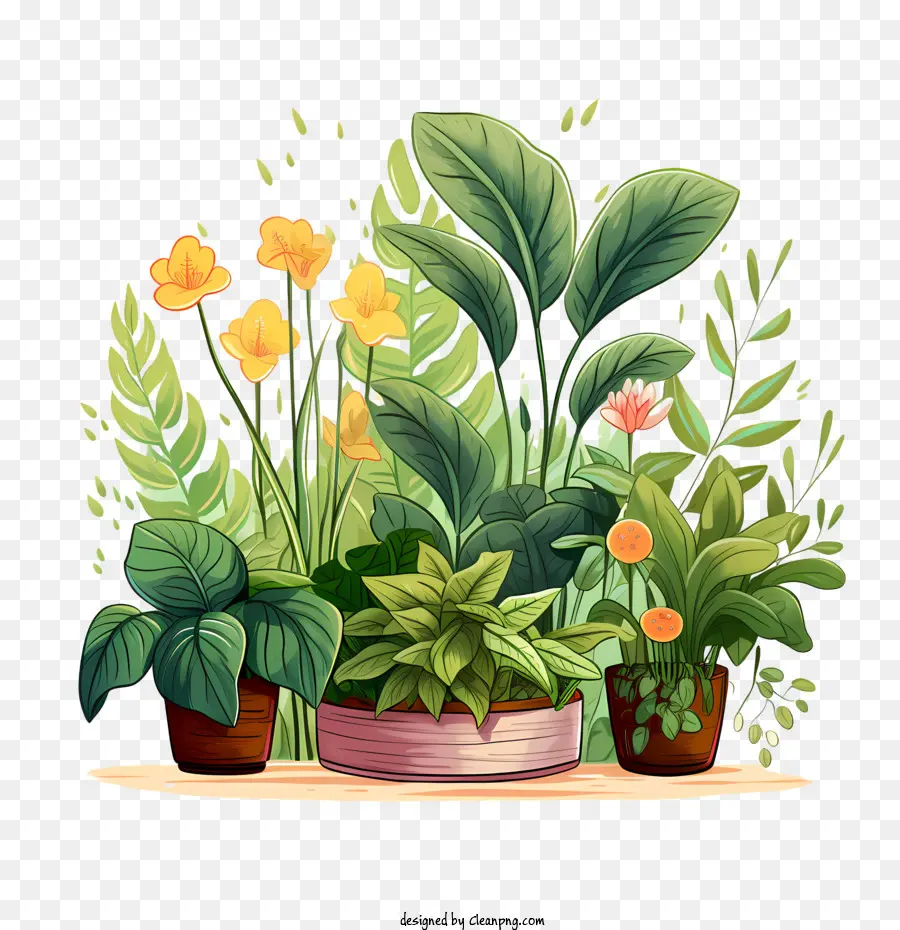 Dia De Valorização Das Plantas De Casa，Vasos De Plantas PNG