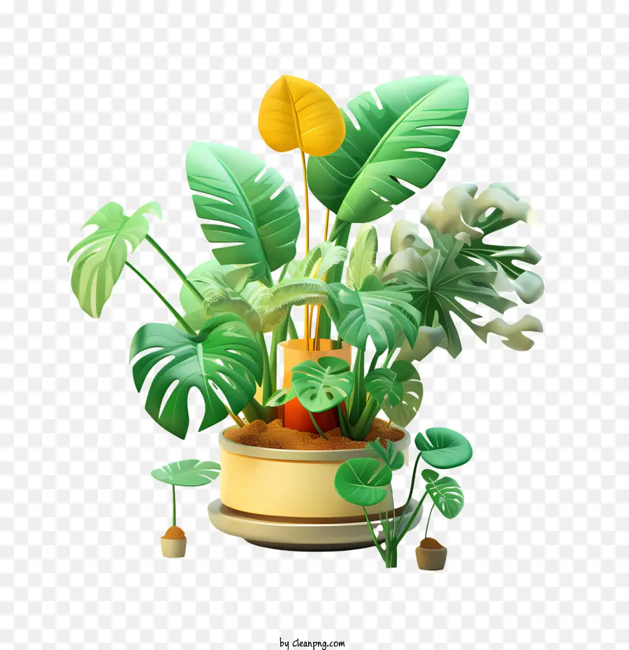 Dia Da Apreciação Da Planta Da Casa，Vasos De Plantas PNG