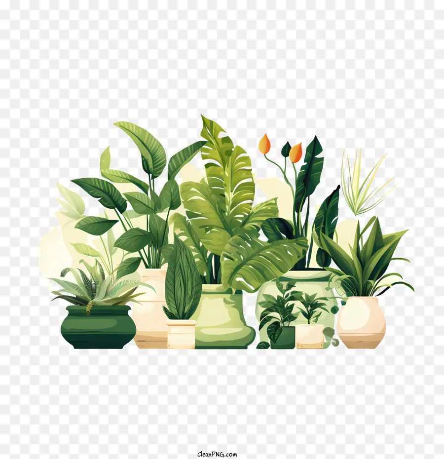 Dia Da Apreciação Da Planta Da Casa，Vasos De Plantas PNG