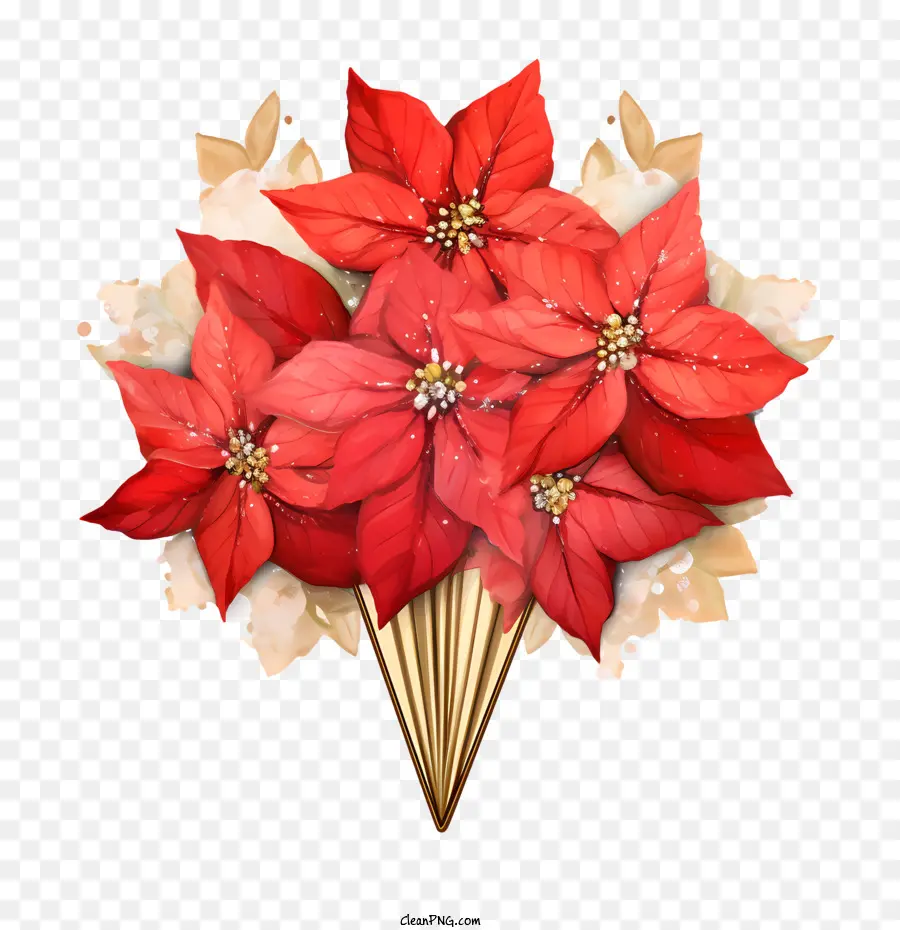 Bicos De Flor，Red Poinsettia PNG