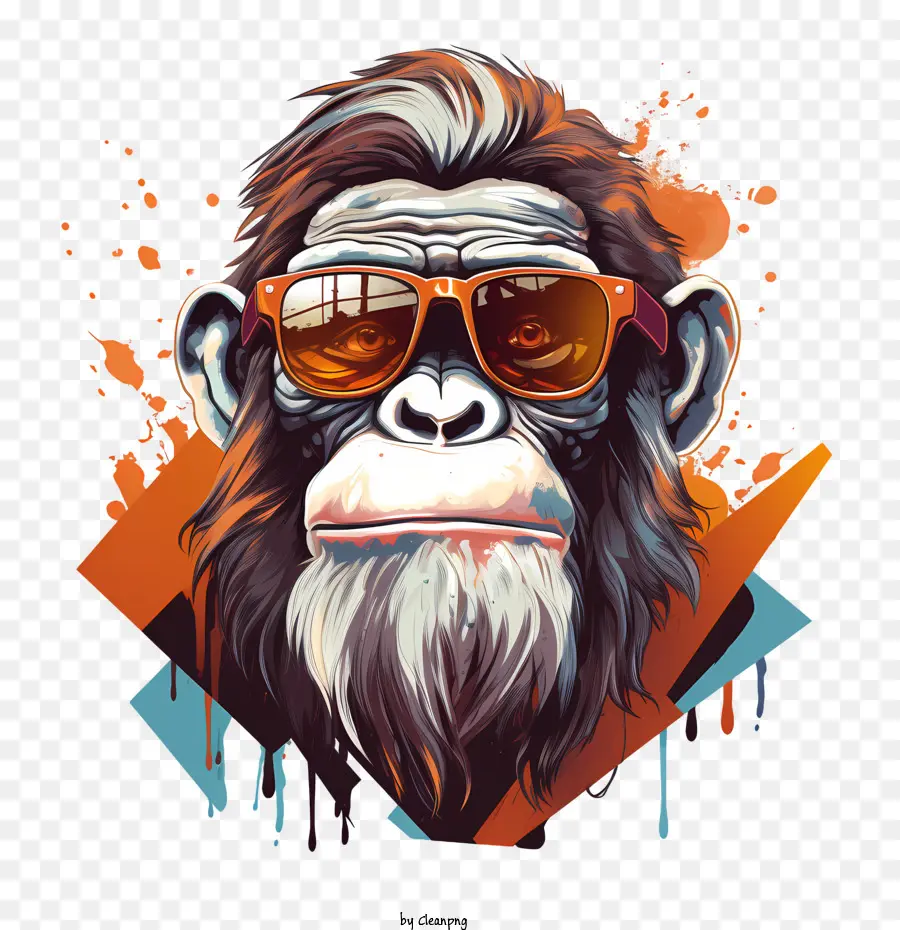 Macaco Dia，Macaco PNG