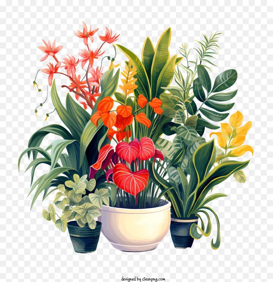 Dia De Valorização Das Plantas De Casa，Plantas Coloridas PNG