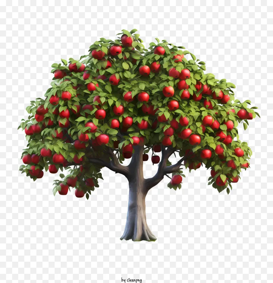 árvore De Fruto，árvore De Maçã PNG