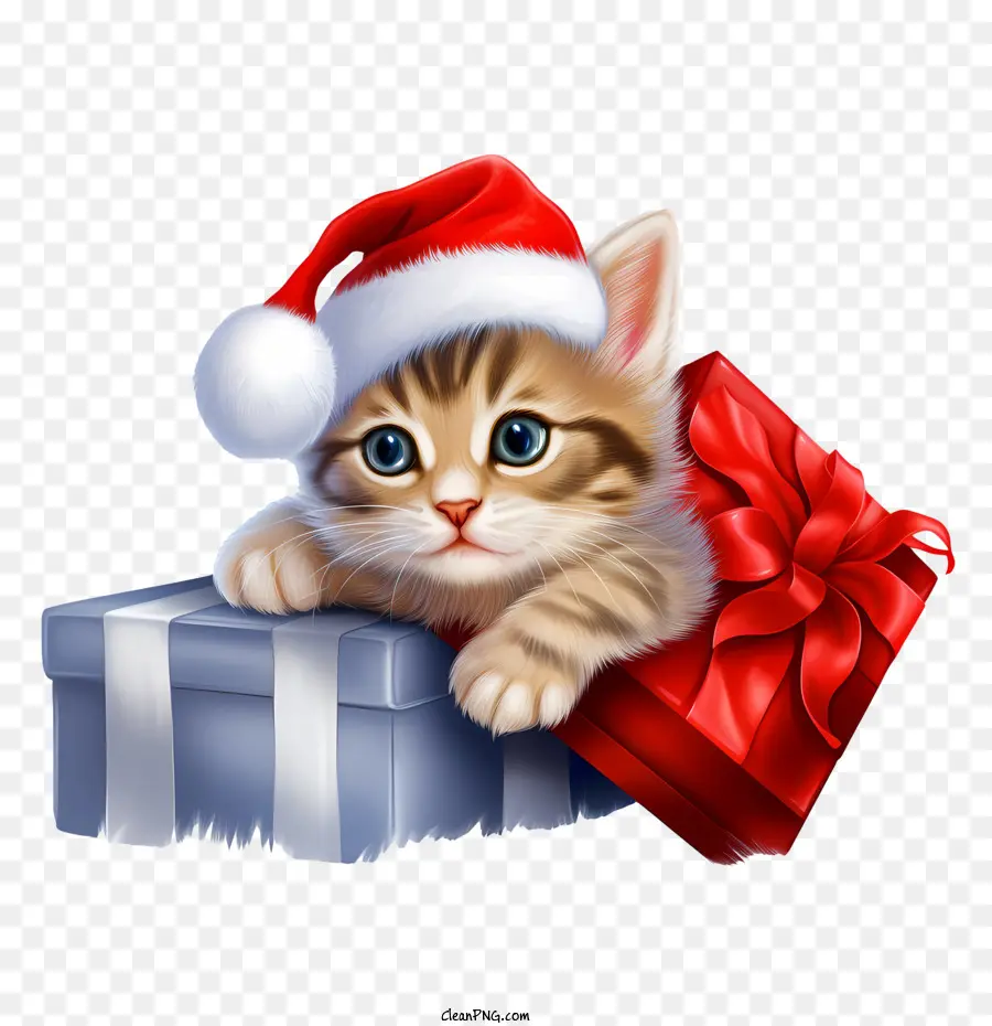 Gato De Natal，Gatinho Em Caixa De Presente PNG