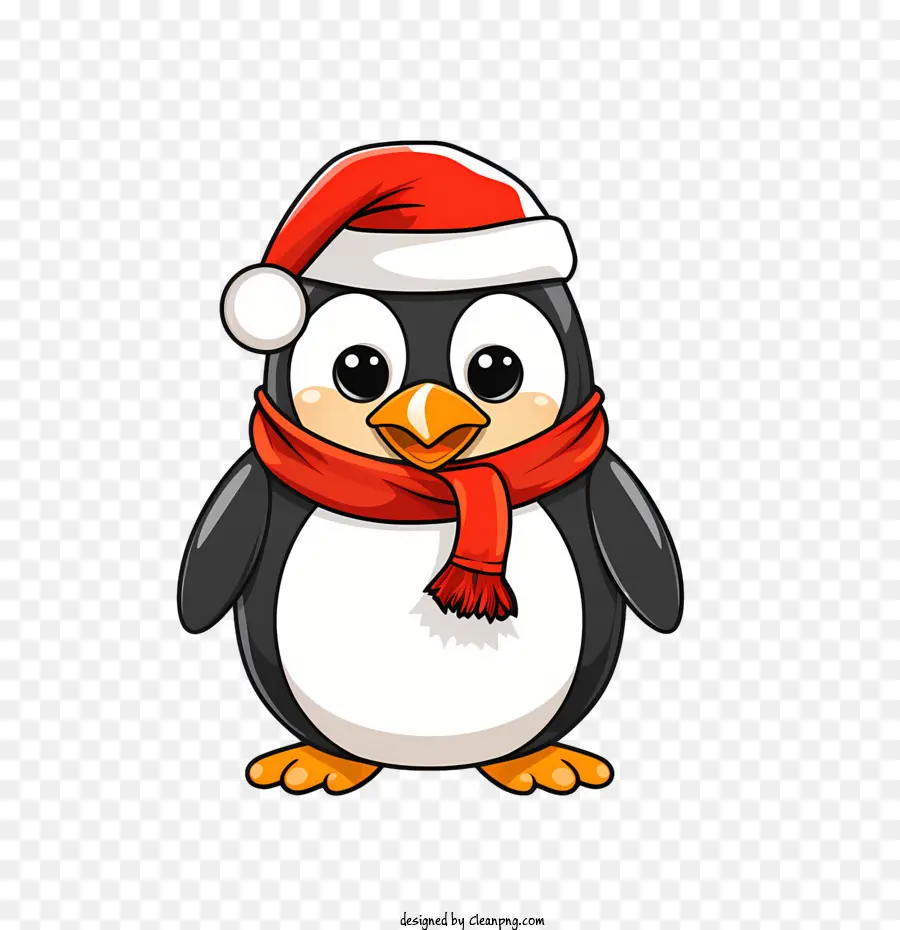 Pinguim De Natal，Pinguim PNG