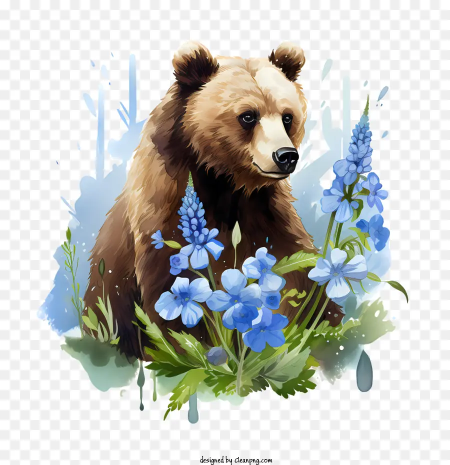 Grizzly Bear，Urso PNG