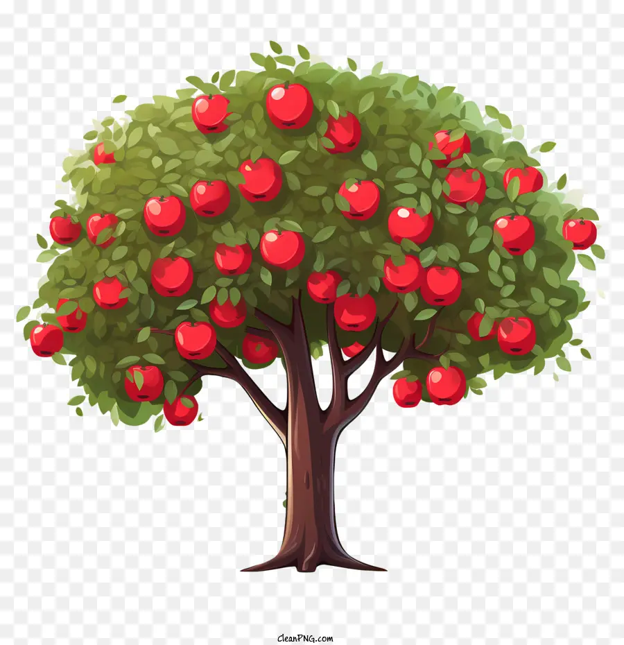 Apple Da Fruta，Apple PNG