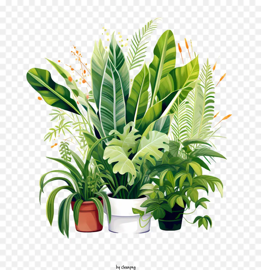 Dia Da Apreciação Da Planta Da Casa，Verde PNG