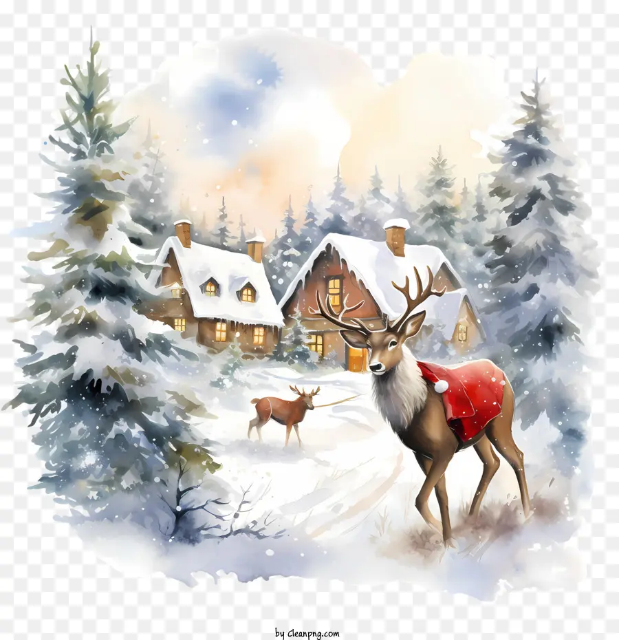 Dia Do Cartão De Natal，Deer PNG