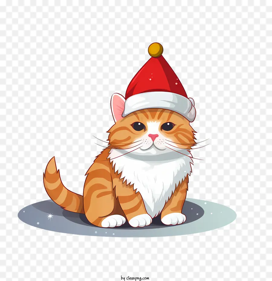 Natal Gato，Gato PNG