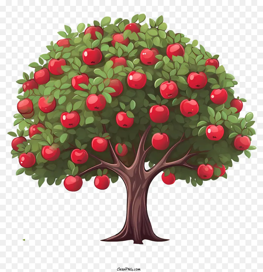 Apple Da Fruta，Maçãs PNG