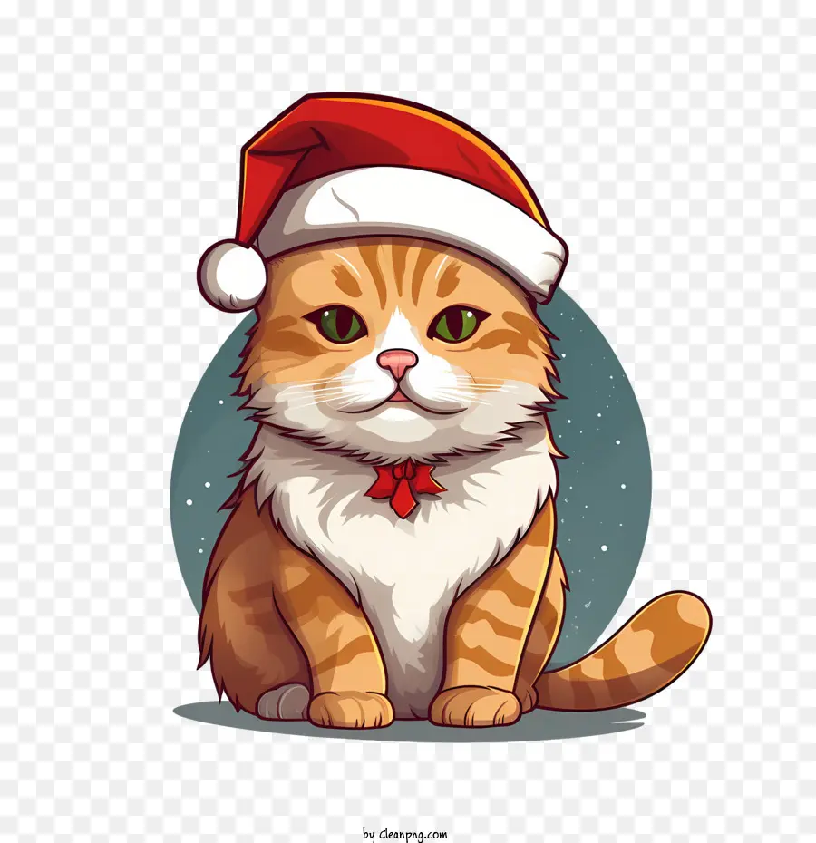 Natal Gato，Gato PNG