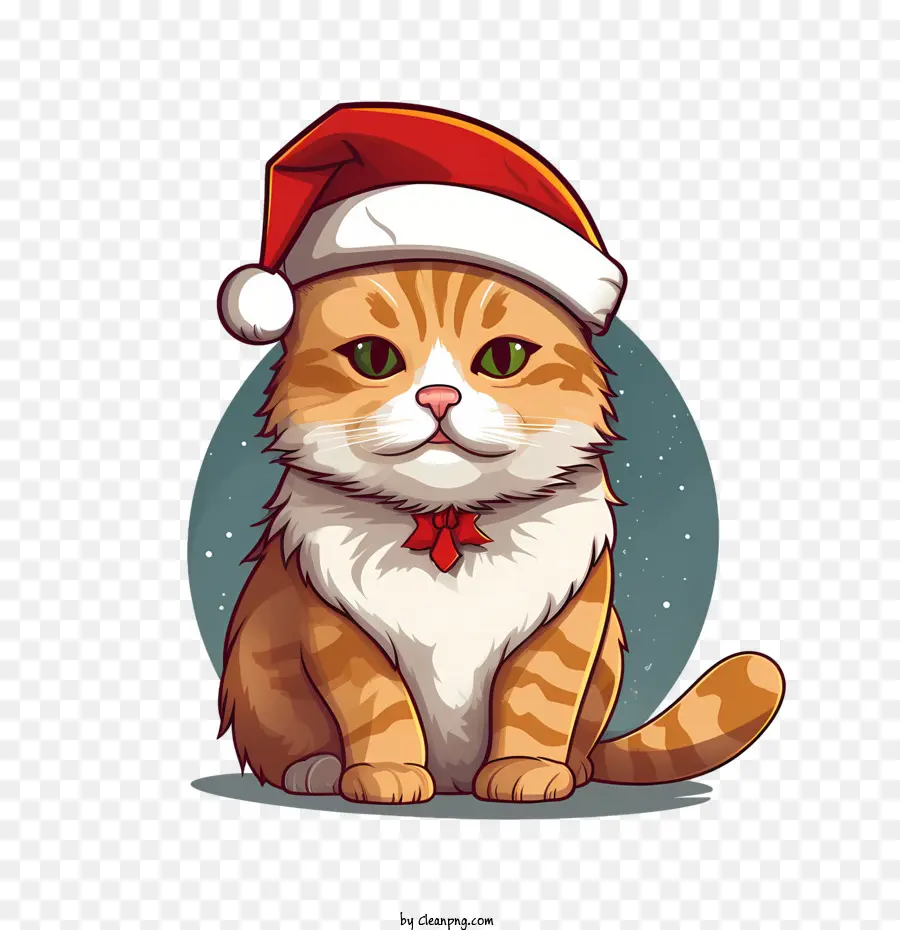 Gato De Natal，Gato PNG