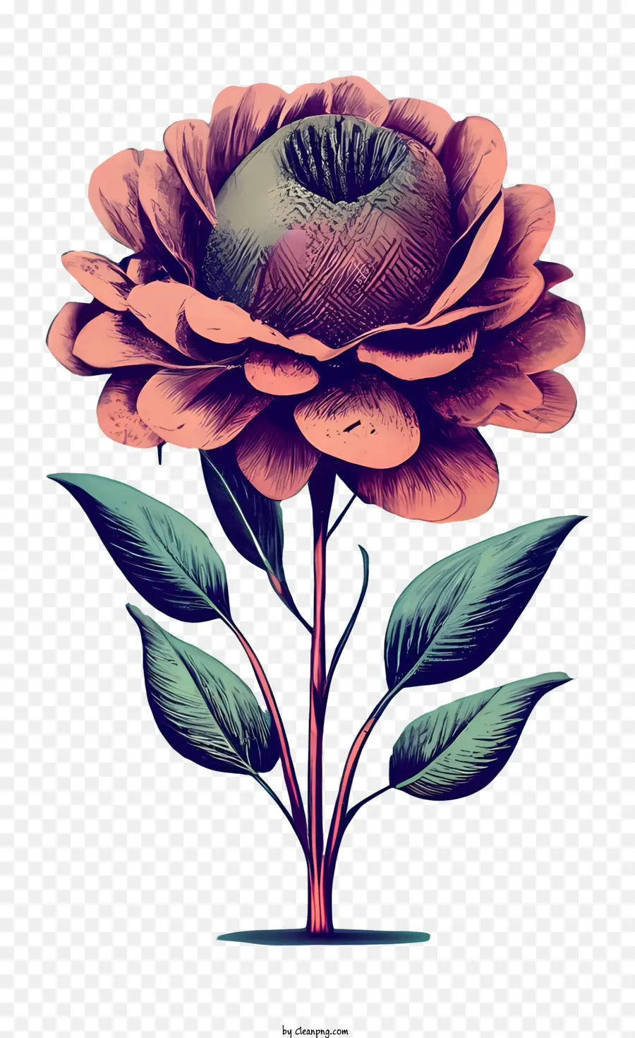 Vintage Rose，Flor PNG