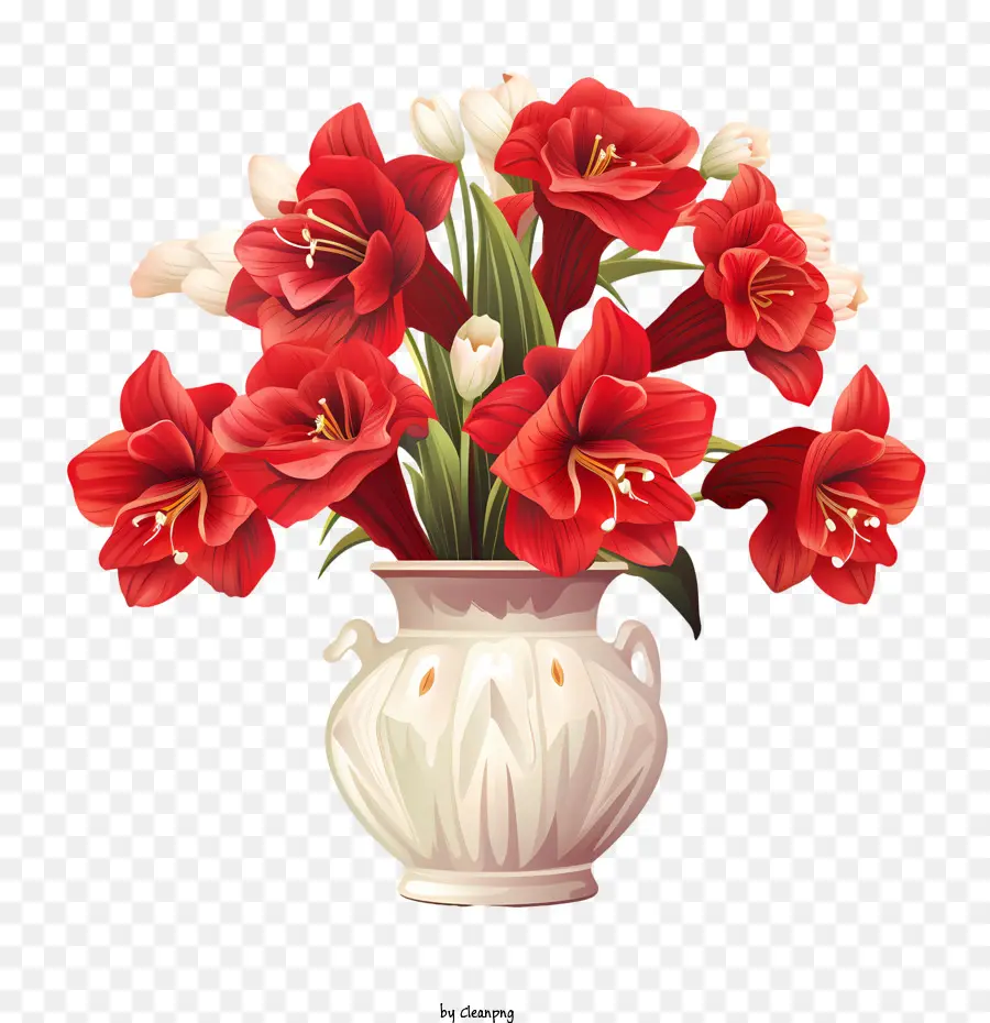 Amaryllis Flor，Flores PNG