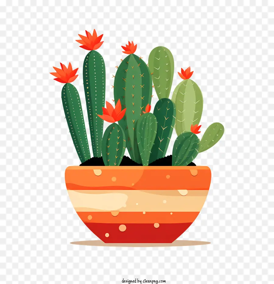 Cactus，Vasos De PNG