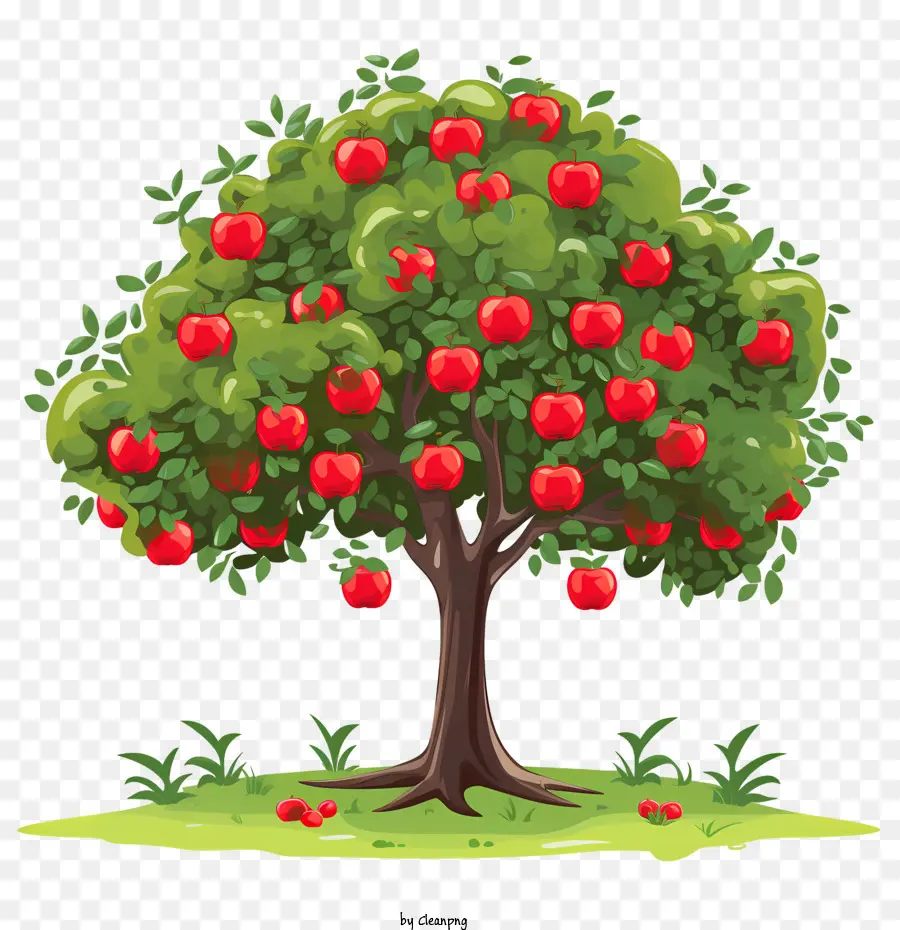 Apple Da Fruta，Apple PNG