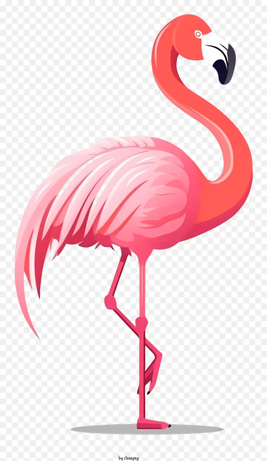 Cor De Rosa Flamingo，Flamingo Em Pé Sobre Uma Perna PNG