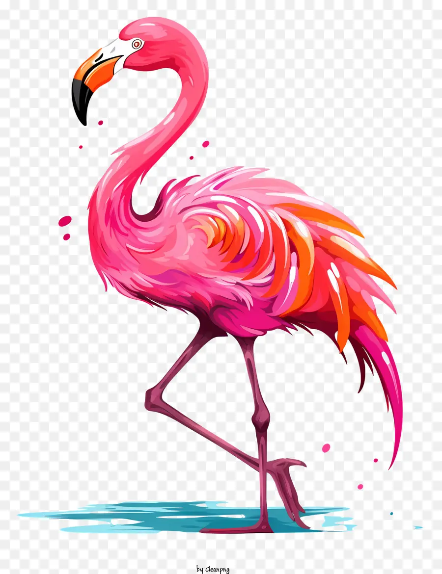 Cor De Rosa Flamingo，Pernas Longas PNG