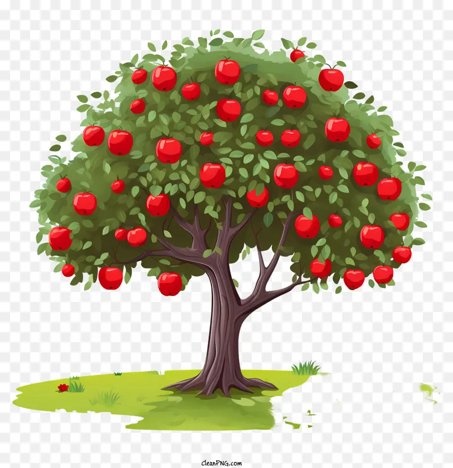 Apple Da Fruta，árvore De Maçã PNG