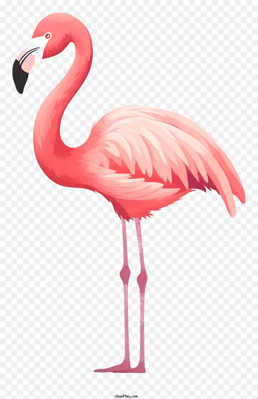 Cor De Rosa Flamingo，De Pé Nas Patas Traseiras PNG