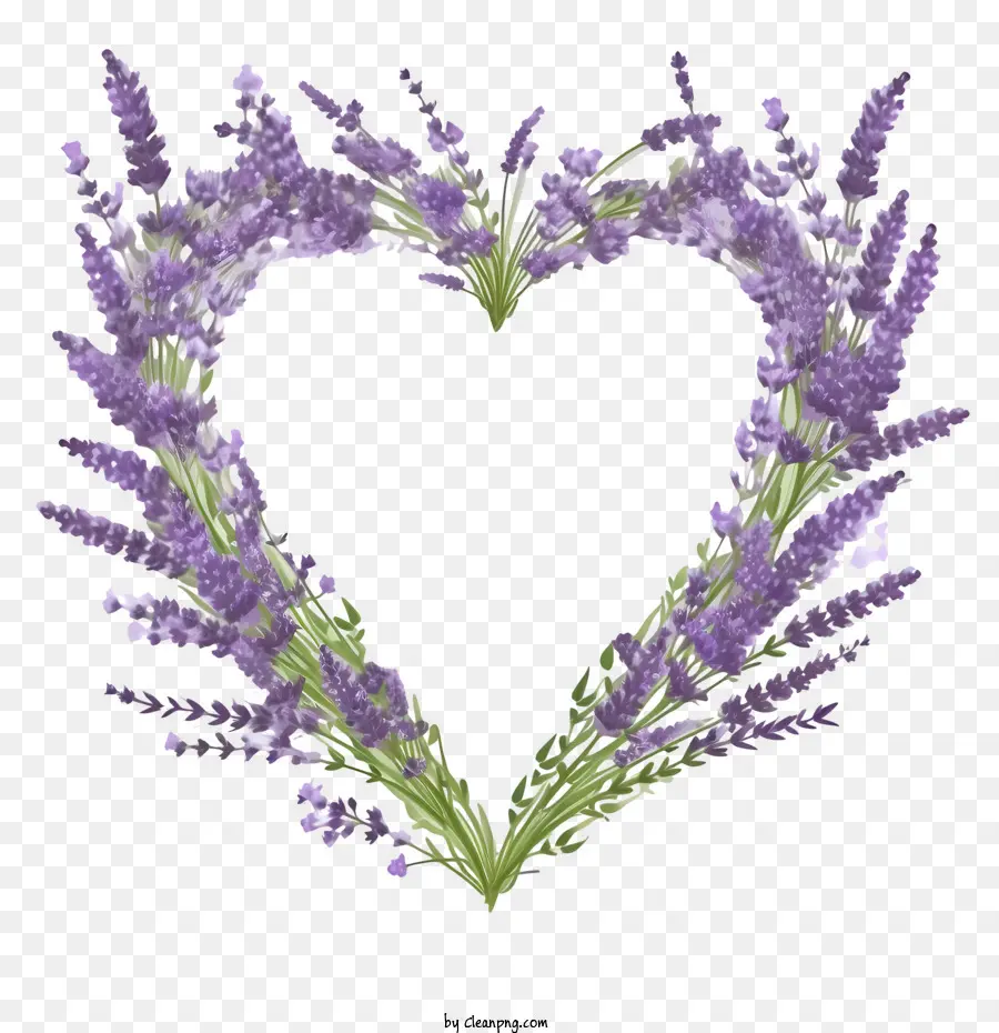 Guirlanda De Lavanda，Coração Lavanda PNG