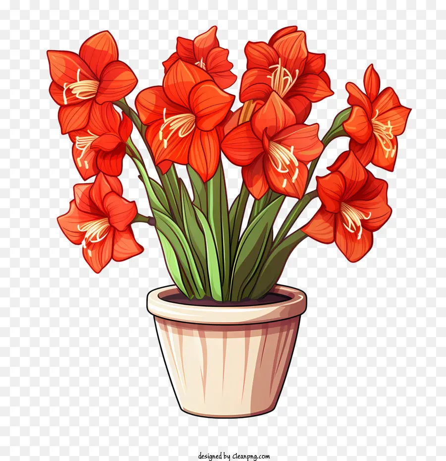 Flor De Amarílis，Flores Vermelhas Em Vaso PNG