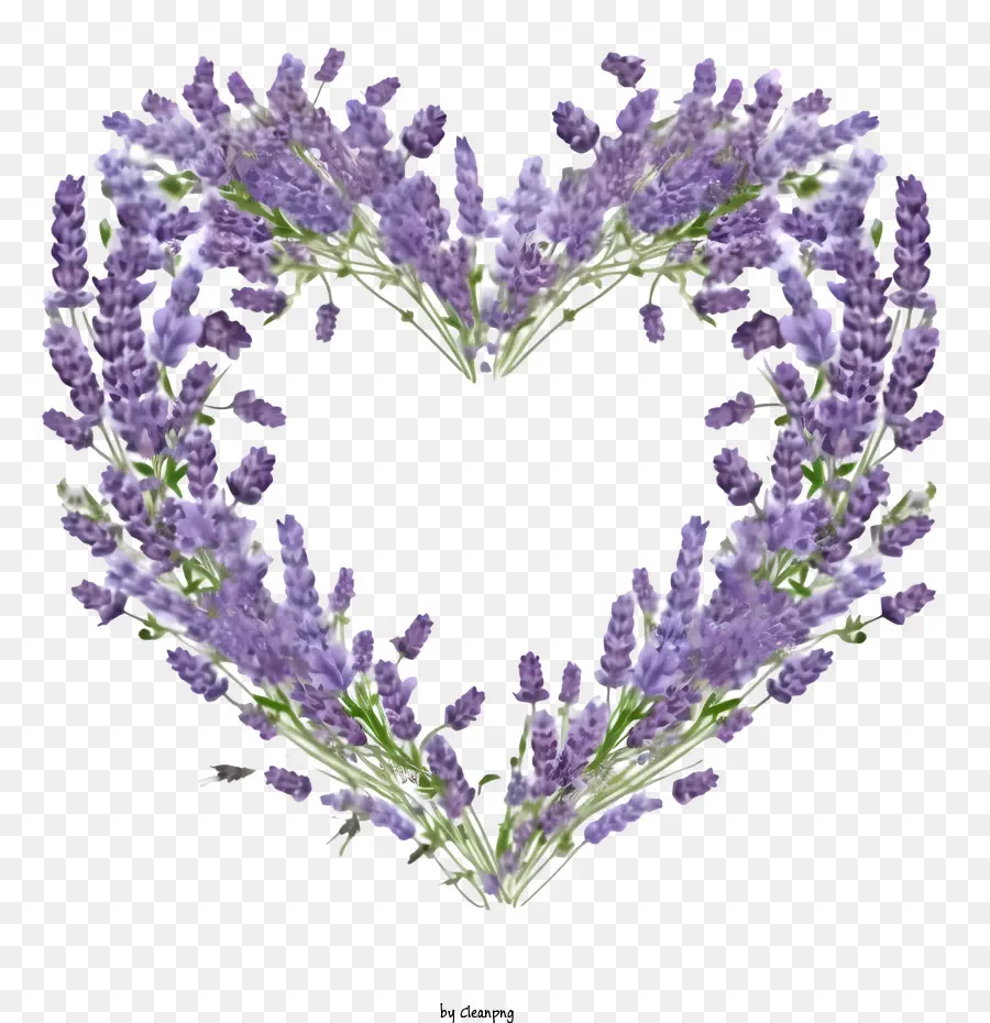 Coroa De Flores De Lavanda，Lavanda PNG