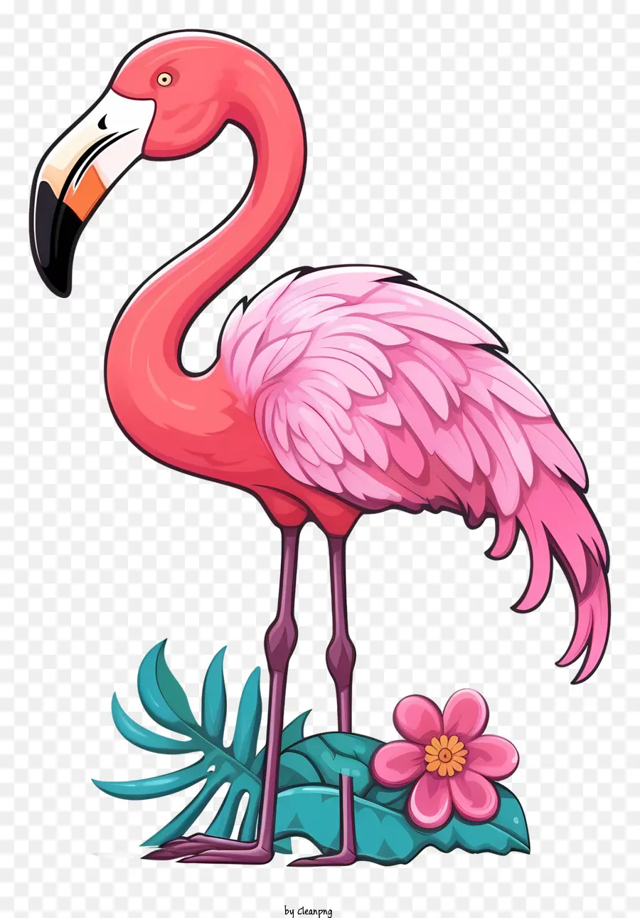 Cor De Rosa Flamingo，Penas Verdes PNG