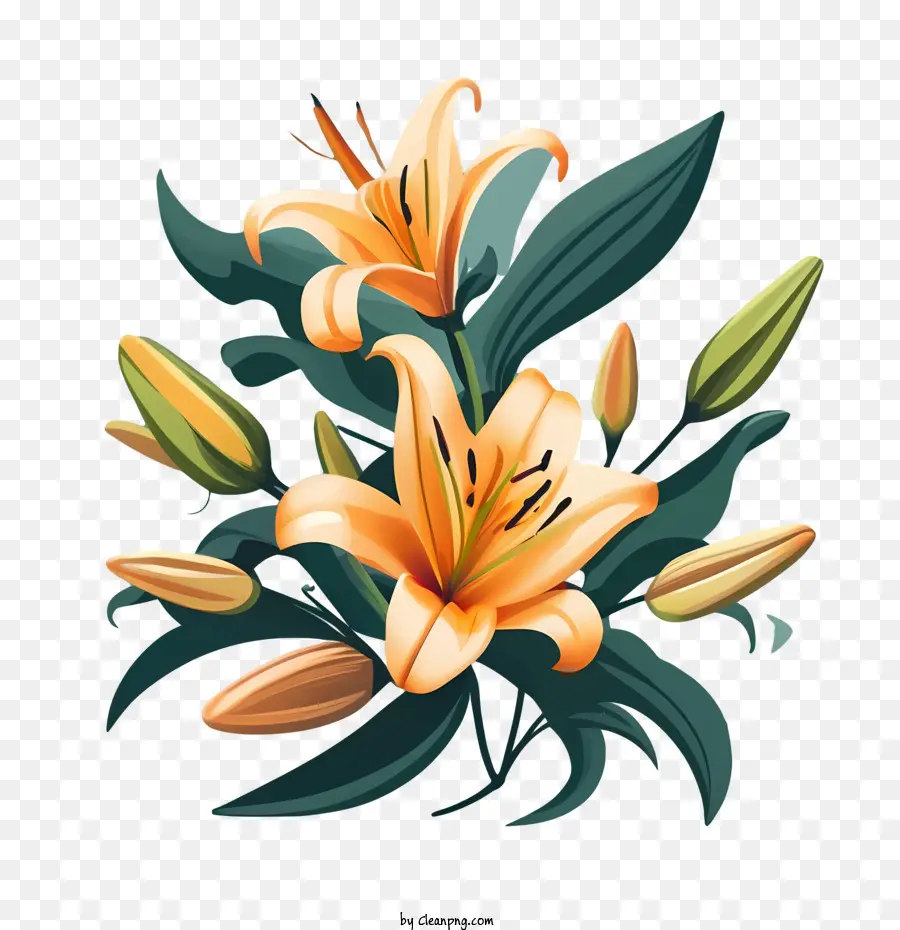 Flores De Lírio，Lírios Amarelos PNG