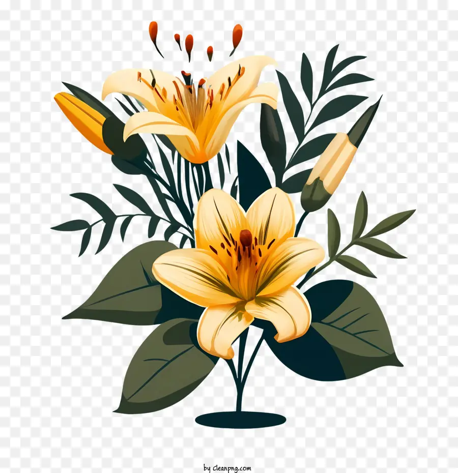 Flores De Lírio，Lily PNG