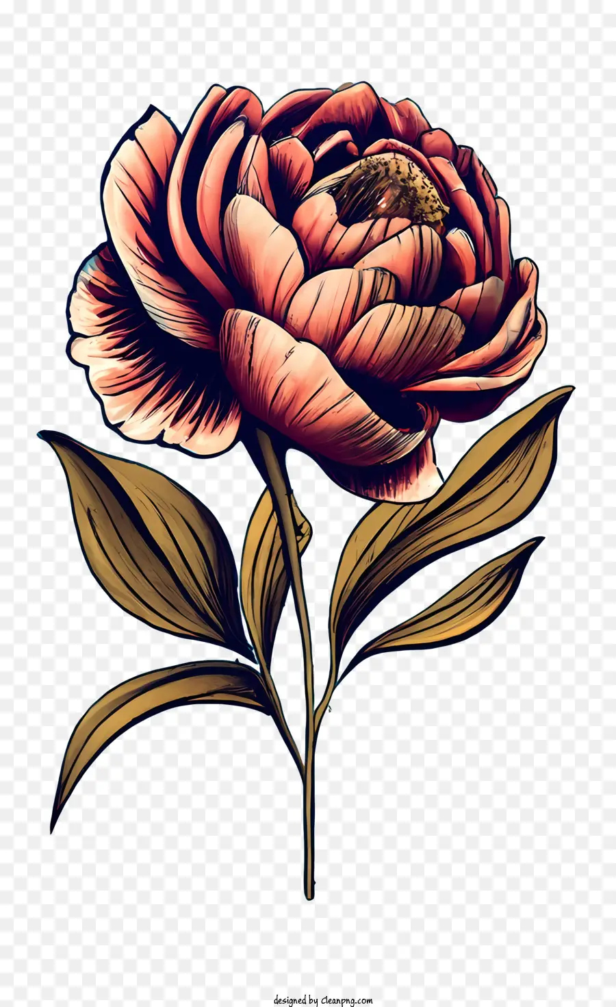 Rosa Vintage，Flor Rosa PNG