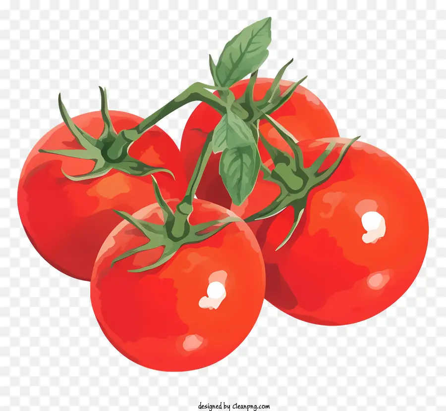 Tomates Maduros Vermelhos，Tomate Folhas PNG