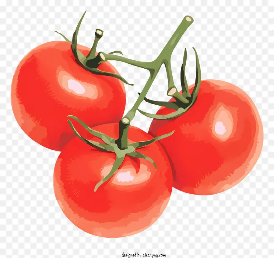 Tomates Vermelhos，Tomates Maduros PNG