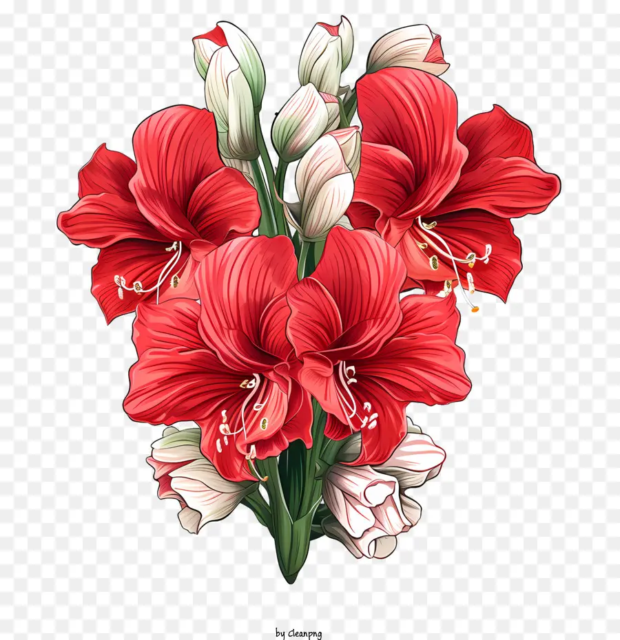 Amaryllis Flor，Flores Vermelhas PNG