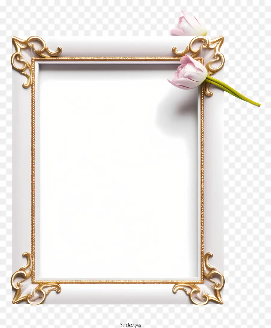 Quadro De Imagem，Rosa Tulipa PNG