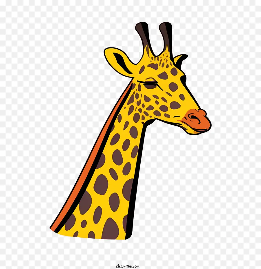 Giraffa De Desenho Animado，Girafa PNG