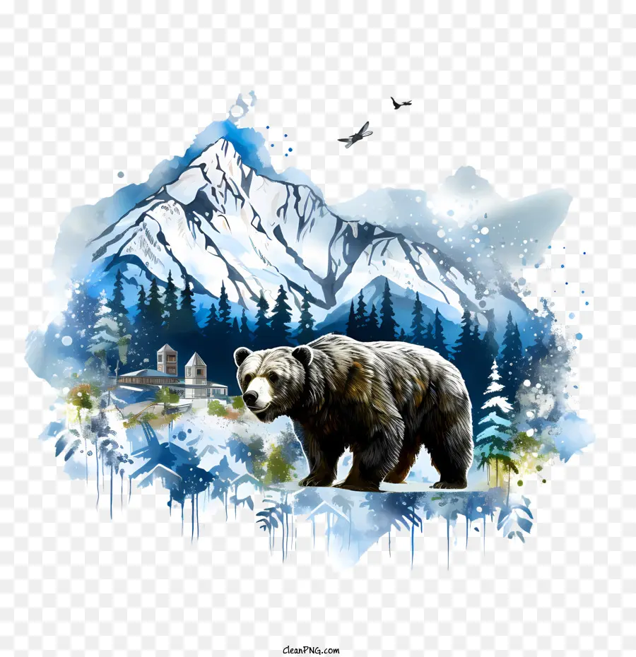 Alasca Dia，Urso PNG