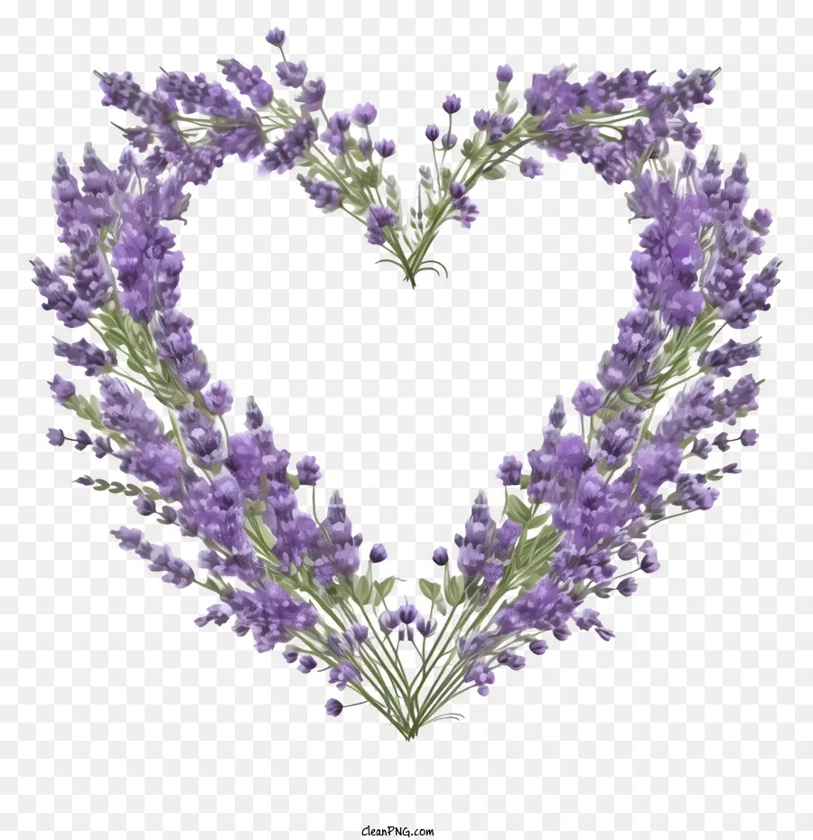 Guirlanda De Lavanda，Coração Lavanda PNG