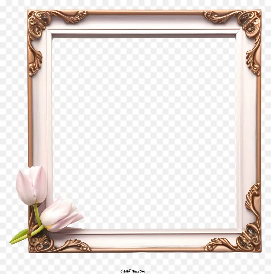 Quadro Decorativo，Rosa Tulipa PNG