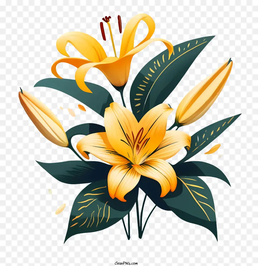 Flores De Lírio，Lily PNG