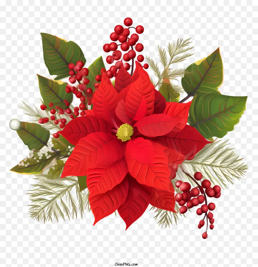 Bicos De Flor，Red Poinsettia PNG