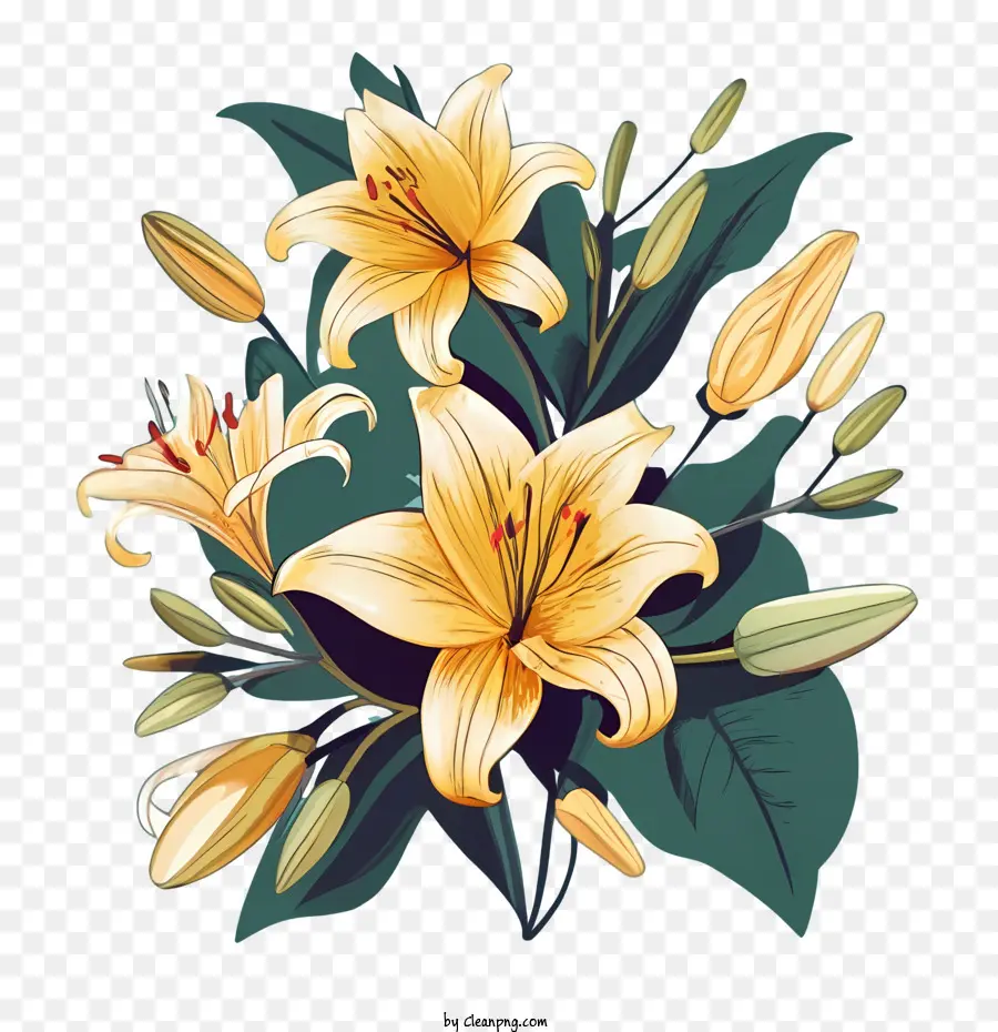 Flores De Lírio，Lily PNG