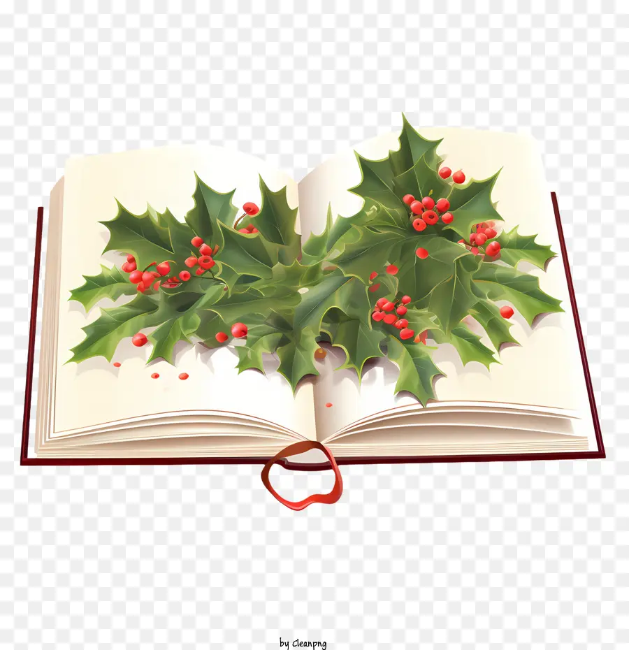Livro De Natal，Holly PNG